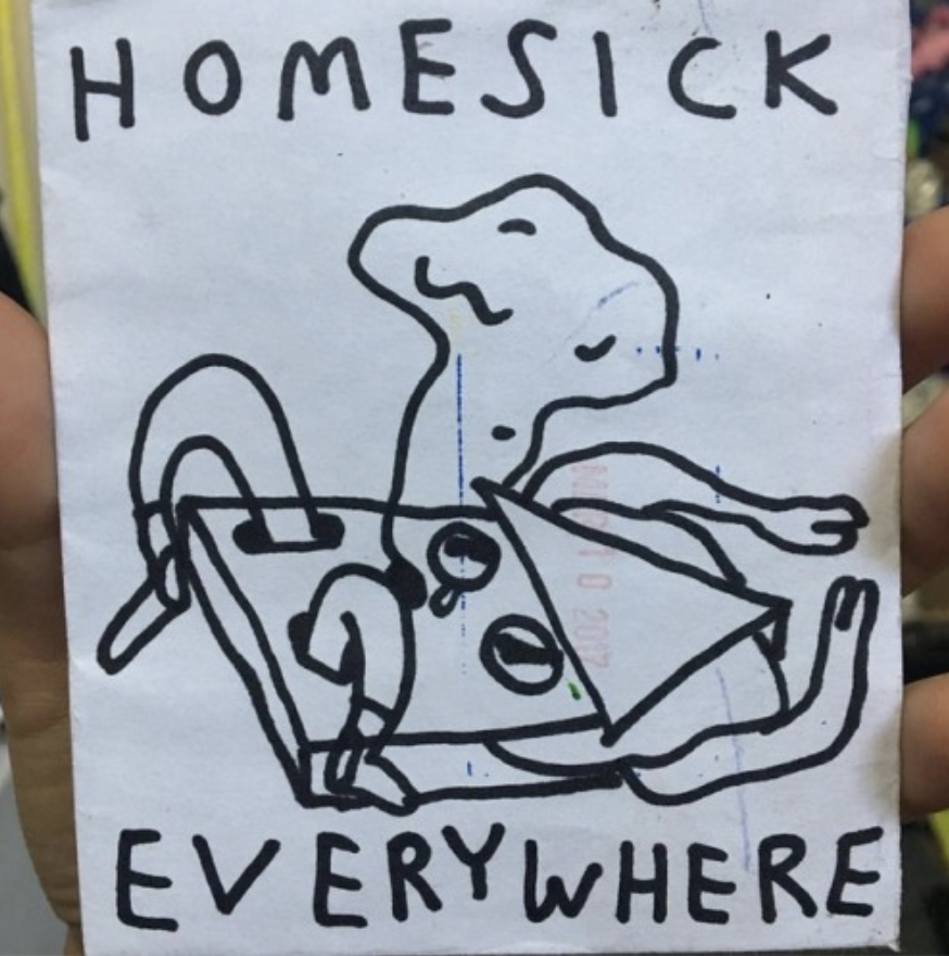 Carolina Hicks Illustrations