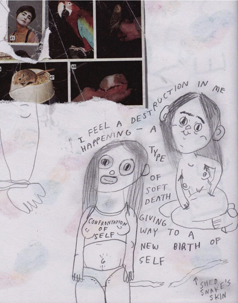 Carolina Hicks Illustrations